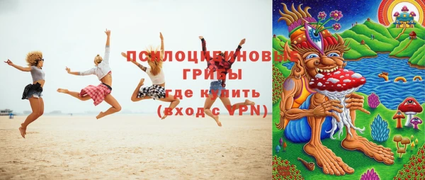 спиды Алзамай