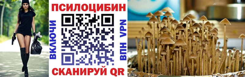 Галлюциногенные грибы GOLDEN TEACHER  OMG рабочий сайт  Ленинск 
